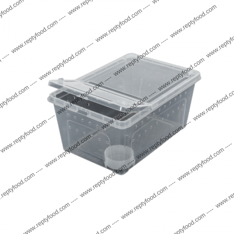 REPTIZOO CONTENITORE IN PLASTICA SMALL