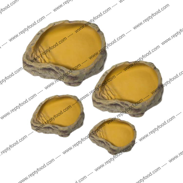 REPTIZOO WATER DISH - CIOTOLA PER L'ACQUA