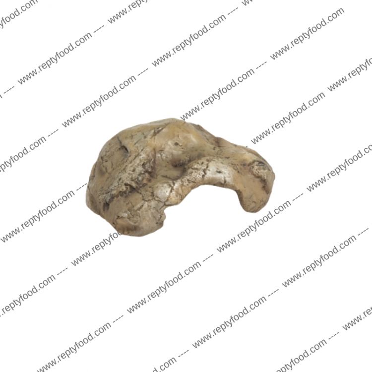 REPTYZOO HIDE CAVE - TANA PER RETTILI