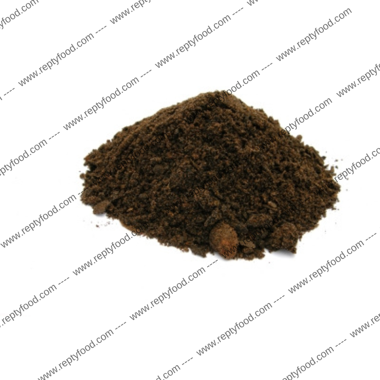 WILDHOME TORBA ACIDA DI SFAGNO - SUBSTRATO PER TERRARIO