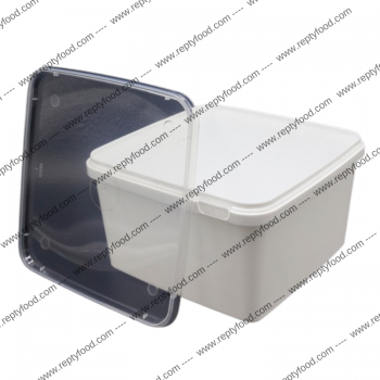 BRAPLAST 3 LT 19,5 x 19,5 x 11 cm