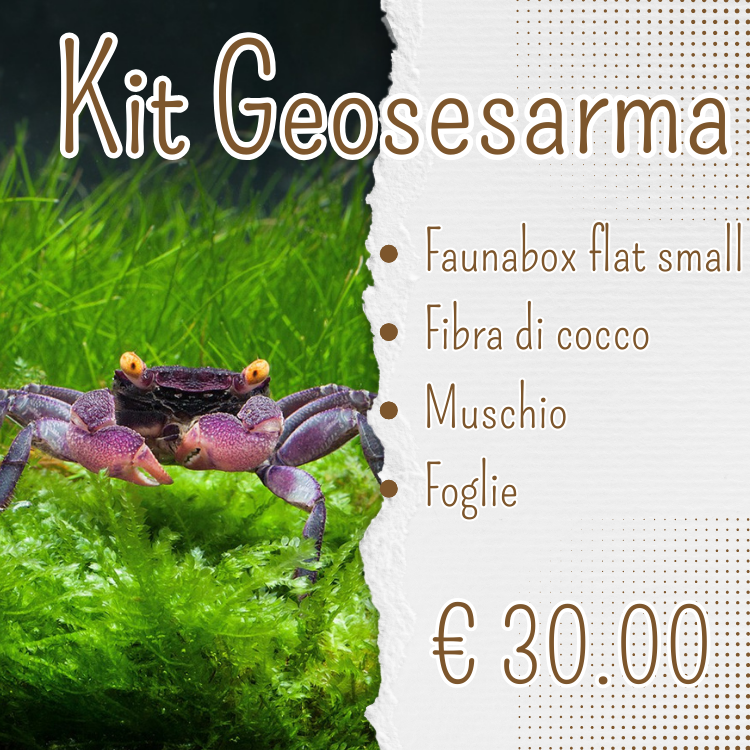 KIT GEOSESARMA