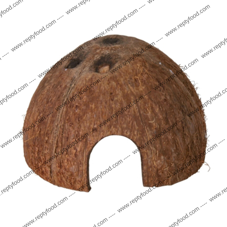 TANA DI COCCO PER RETTILI