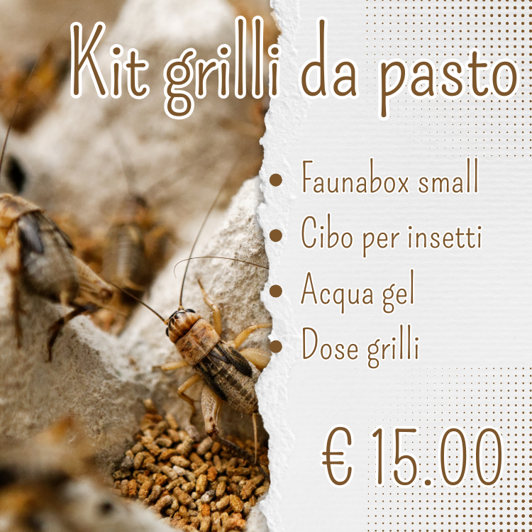 KIT GRILLI DA PASTO