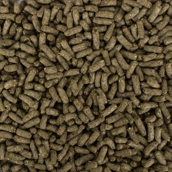 TROPIFIT CINCILLA' E DEGU ALL IN 1 - ALIMENTO ESTRUSO PER CINCILLA'