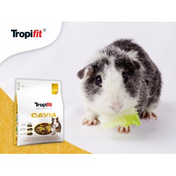 TROPIFIT CAVIA - MANGIME PER CAVIA