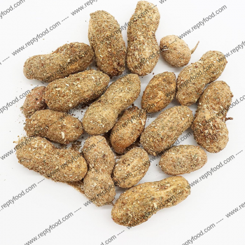 CROCI WOODCHUCK - PRALINE