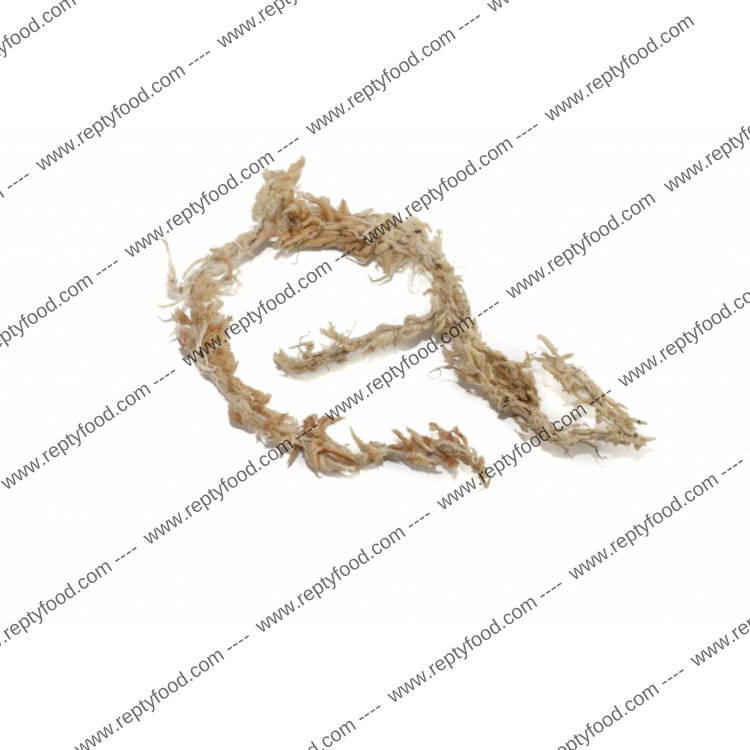 WILDHOME SFAGNO IDRATATO 1000 ML - PRONTO ALL'USO