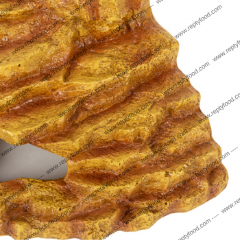 REPTYZOO RIFUGIO ANGOLARE PER RETTILI