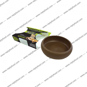 KOMODO MEALWORM DISH