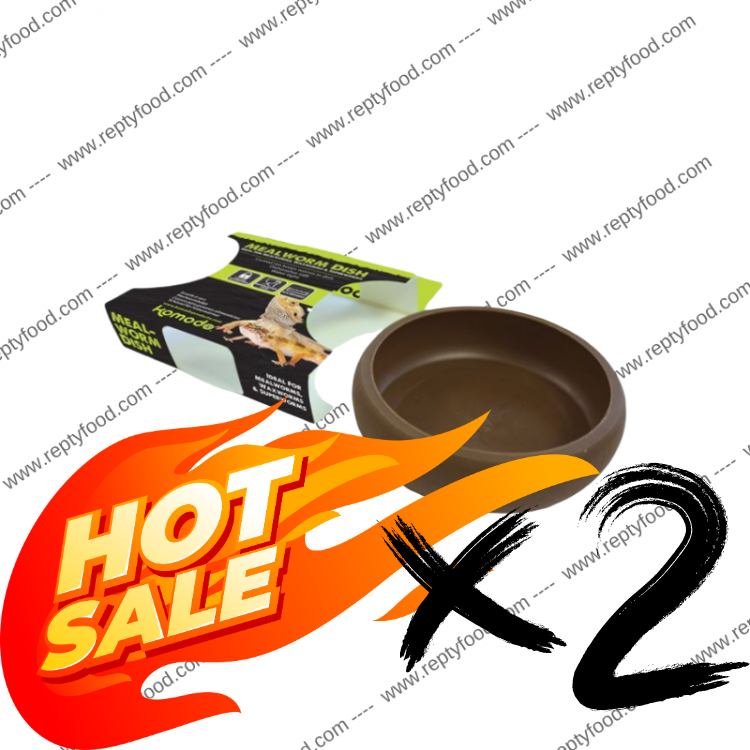 2 x KOMODO MEALWORM DISH - CIOTOLA PER TARME