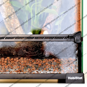 HABISTAT AMAZON SINKING CLAY BALL - SFERE DI AGILLA PER TERRARI