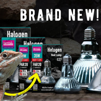 ARCADIA HALOGEN - LAMPADA RISCALDANTE ALOGENA