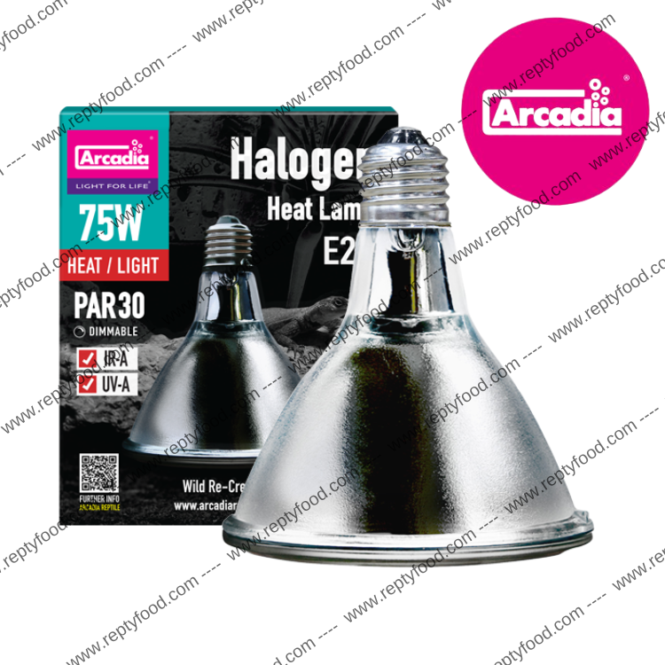 ARCADIA HALOGEN - LAMPADA RISCALDANTE ALOGENA 75W