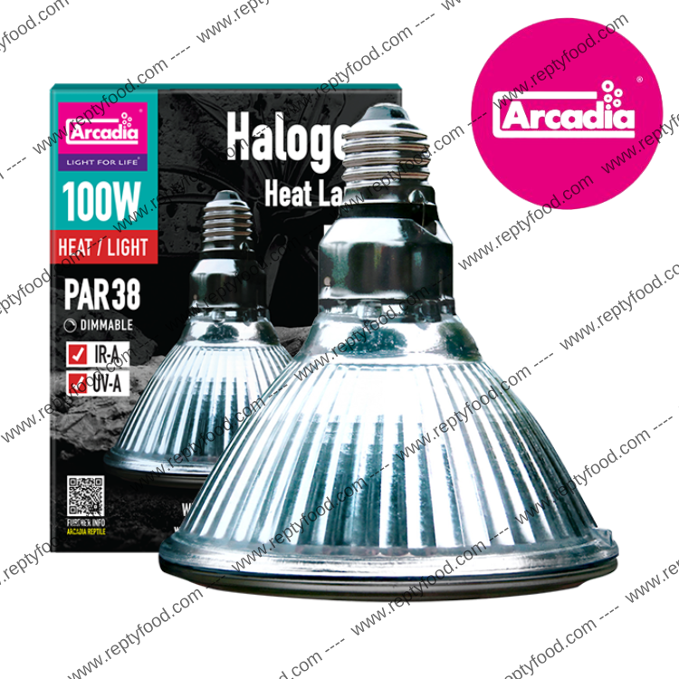 ARCADIA HALOGEN - LAMPADA RISCALDANTE ALOGENA 100W