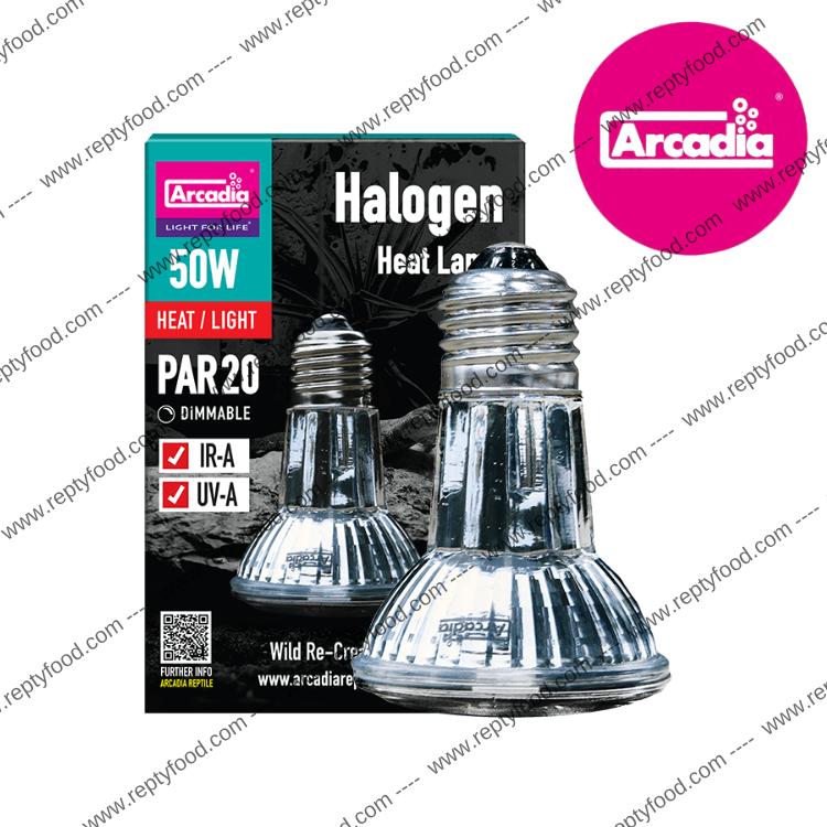 ARCADIA HALOGEN - LAMPADA RISCALDANTE ALOGENA 50W