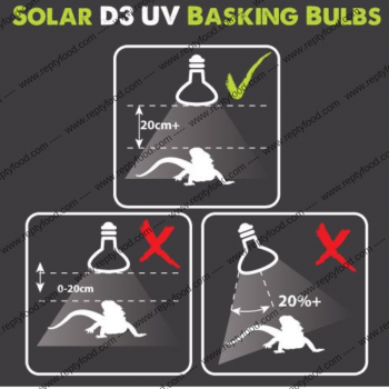 KOMODO SOLAR D3 UV BASKING 125 W - LAMAPDA A VAPORI DI MERCURIO