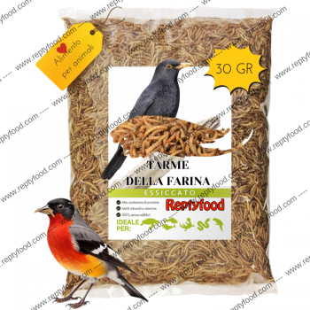 TARME DELLA FARINA ESSICCATE - INSETTI DA PASTO