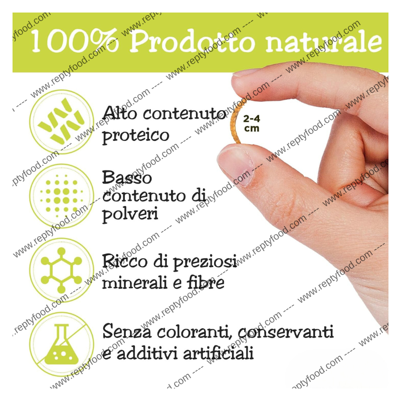 TARME DELLA FARINA ESSICCATE 100GR - INSETTI DA PASTO