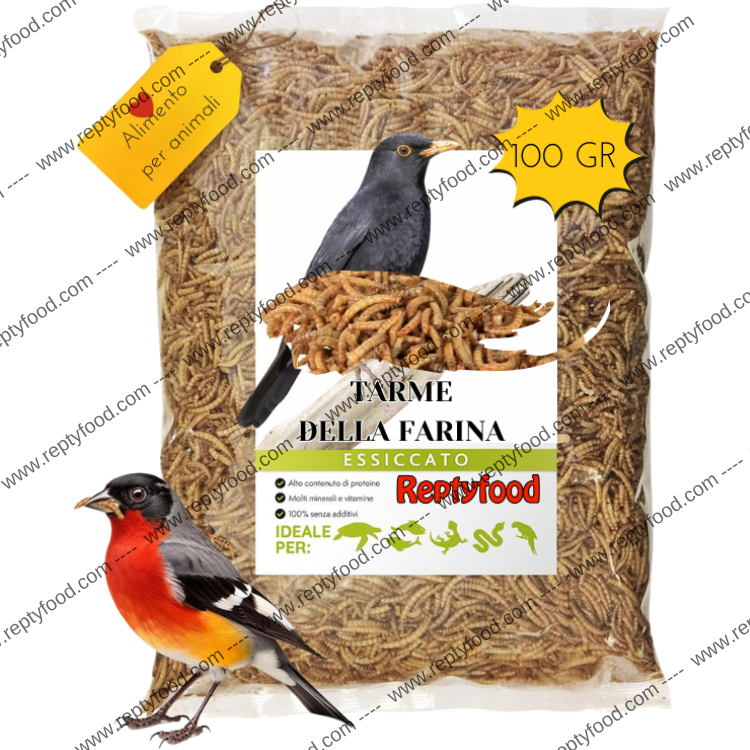 TARME DELLA FARINA ESSICCATE 100GR - INSETTI DA PASTO