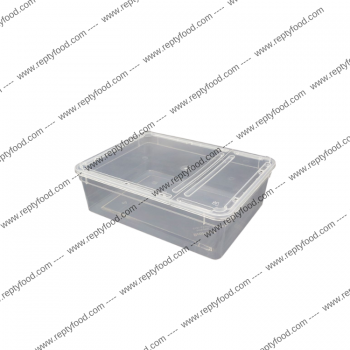 BRAPLAST 3 LT TRASPARENTE