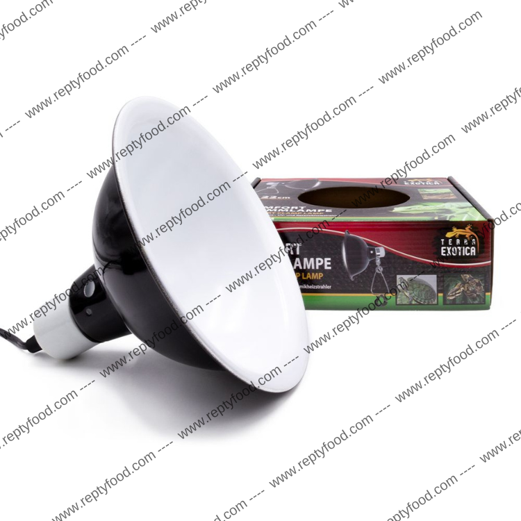 TERRA EXOTICA PORTA LAMPADA 22 CM