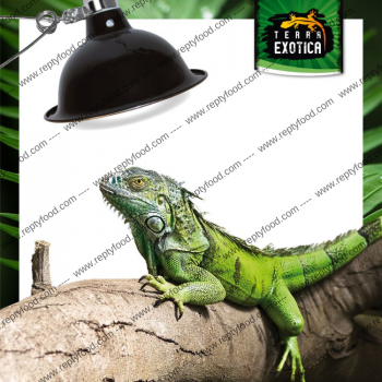 TERRA EXOTICA PORTA LAMPADA 22 CM