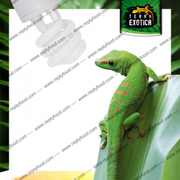 TERRA EXOTICA COMPACT JUNGLE  - LAMPADA UVB 5% 13W