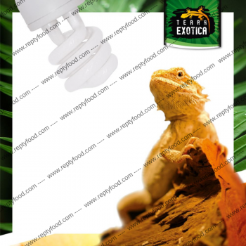 TERRA EXOTICA DESERT MINI - LAMPADA UVB 10% 13W