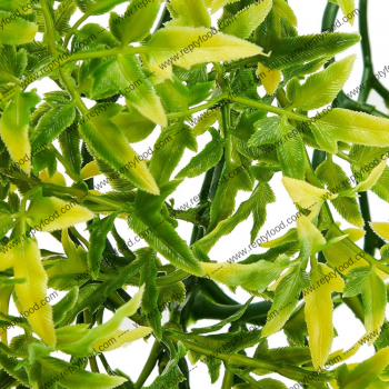 KOMODO  PIANTA DI CROTON 60 CM