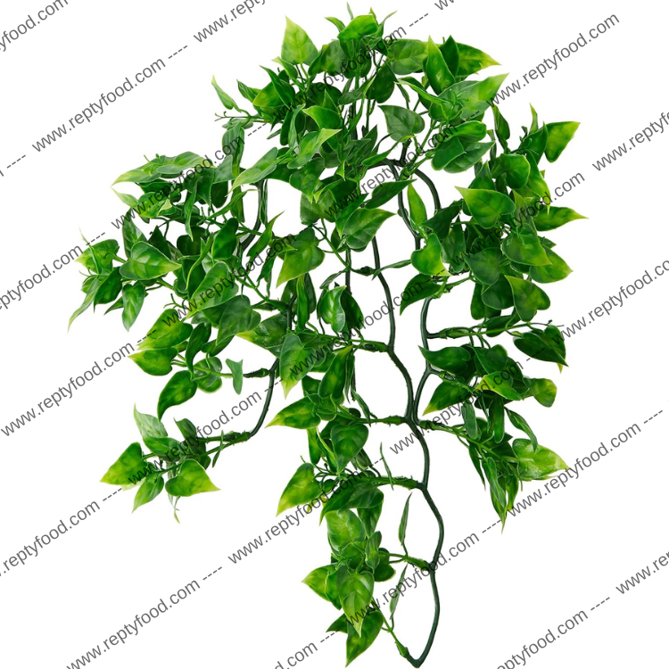 KOMODO PHILODENDRON PLANT 40CM - PIANTE ARTIFICIALI PER TERRARI