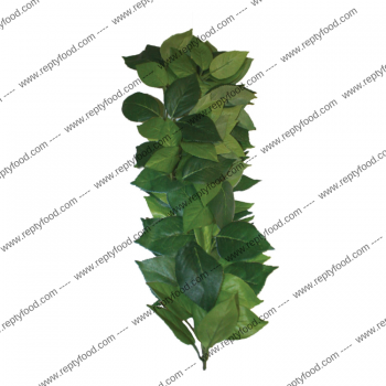 KOMODO FICUS SILK VINE 35CM - PIANTE ARTIFICIALI