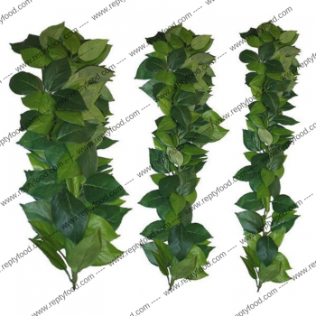 KOMODO FICUS SILK VINE 60CM - PIANTE ARTIFICIALI