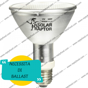 SOLAR RAPTOR HID 35W FLOOD - LAMPADA RISCALDANTE + UVA/UVB
