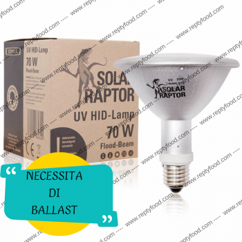 SOLAR RAPTOR HID 70W FLOOD - LAMPADA RISCALDANTE + UVA/UVB