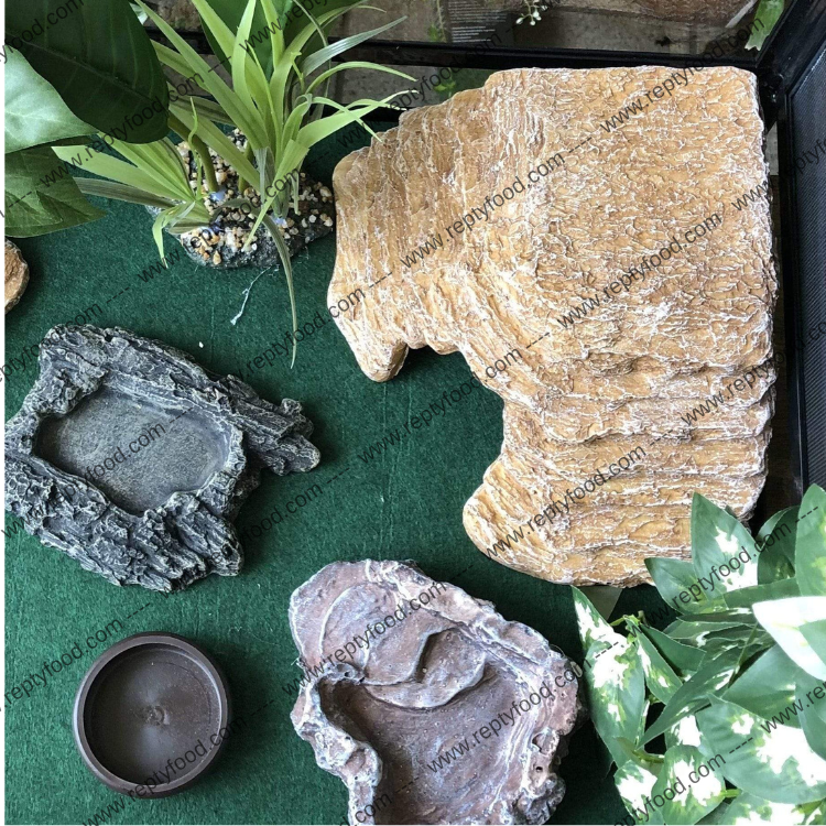 KOMODO - TANA ANGOLARE