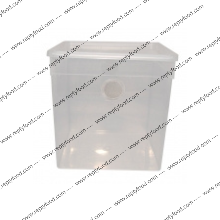 BRAPLAST 5,8 LT CON FORI E RETE - TERRARIO IN PLASTICA PER ARTOPODI