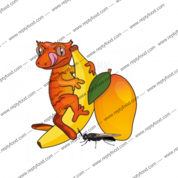 BLUE RIVER DIETS - FRUIT E BUGS ALIMENTO COMPLETO PER GECHI CRESTATI