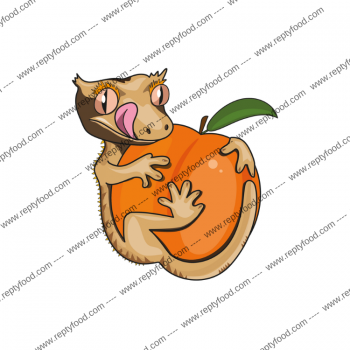 BLUE RIVER DIETS - PEACH PARADISE - ALIMENTO COMPLETO PER GECHI CRESTATI