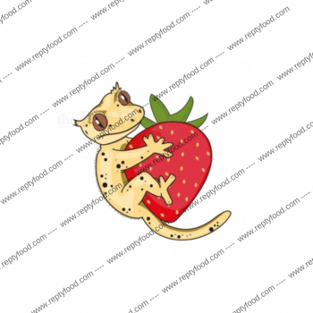 BLUE RIVER DIETS - STRAWBERRY - ALIMENTO COMPLETO PER GECHI CRESTATI