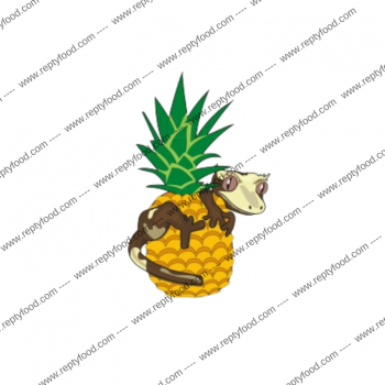 BLUE RIVER DIETS - PINEAPPLE CRUSH - ALIMENTO COMPLETO PER GECHI CRESTATI