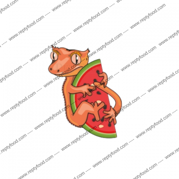 BLUE RIVER DIETS - WATERMELON - ALIMENTO COMPLETO PER GECHI CRESTATI