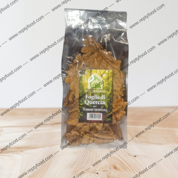 WILDHOME FOGLIE PER TERRARI