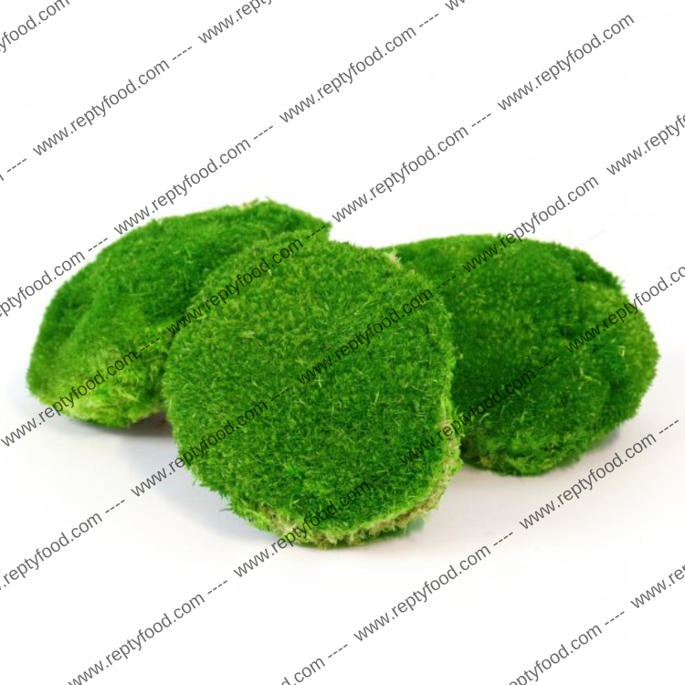 WILDHOME MUSCHIO A SFERA STABILIZZATO 400GR