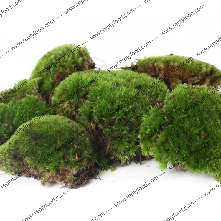 WILDHOME MUSCHIO NATURALE 1 KG