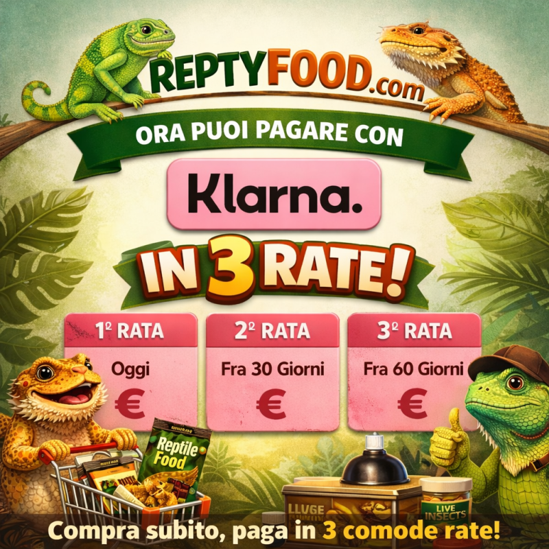 Zoo Med Nano ReptiBreeze - Terrario a Rete per Piccoli Rettili | Reptyfood