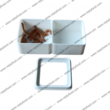 WILDHOME CIOTOLA DOPPIA TARME