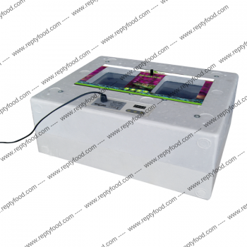 REPTYZOO INCUBATRICE DIGITALE - INCUBATRICE PER RETTILI