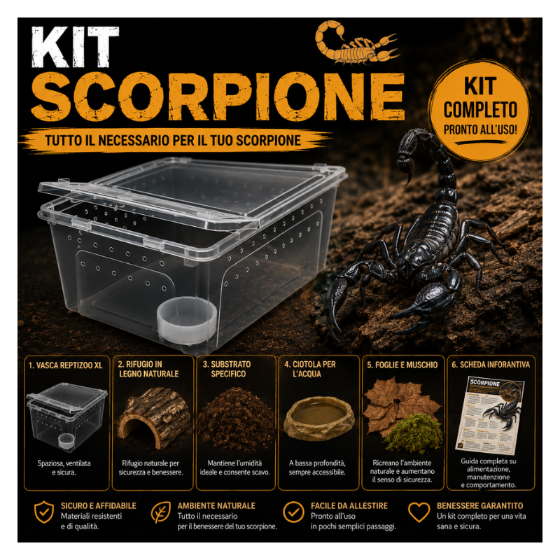 KIT COMPLETO SCORPIONE