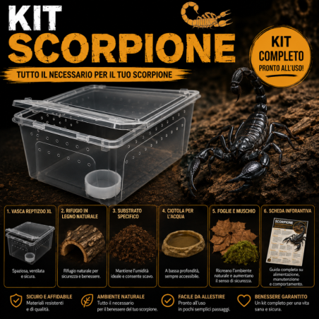 Kit Completo Scorpione – Terrario e Accessori | Reptyfood